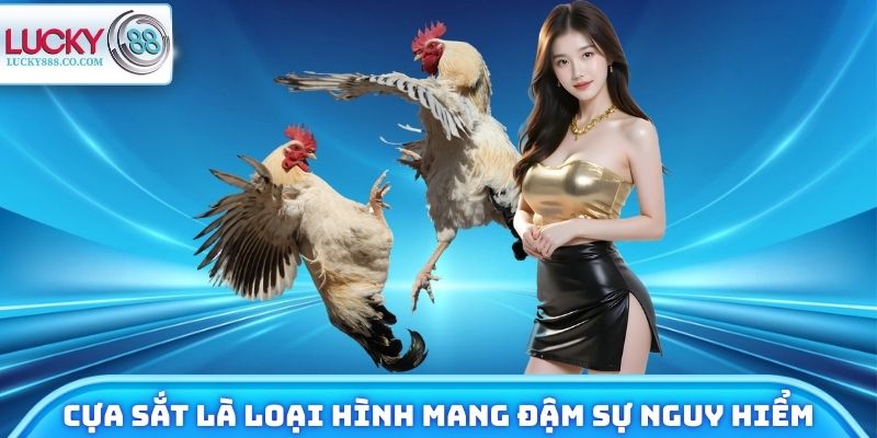 Đá Gà Lucky88 - Xem Chiến Kê Trực Tuyến, Đặt Cược 24/7 - SLOTVANTA69