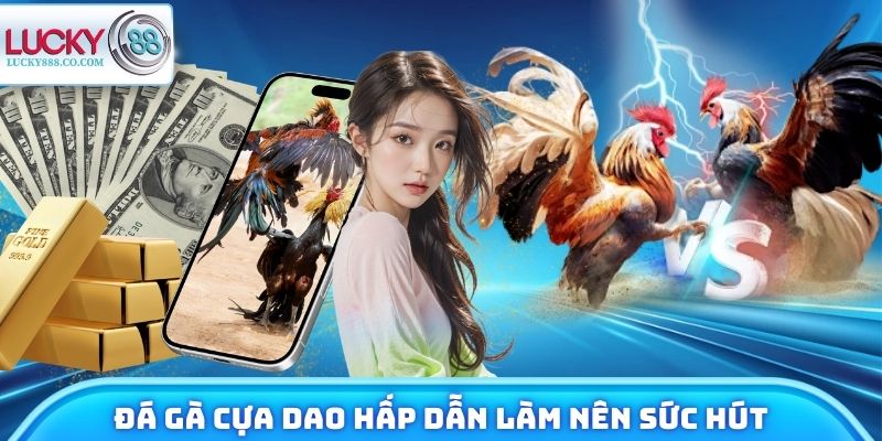 Đá Gà Cựa Dao - Nhận Định Trận Đấu, Trải Nghiệm Tiềm Năng - SLOTVANTA69