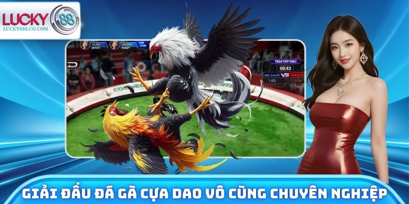 Đá Gà Cựa Dao - Nhận Định Trận Đấu, Trải Nghiệm Tiềm Năng - SLOTVANTA69
