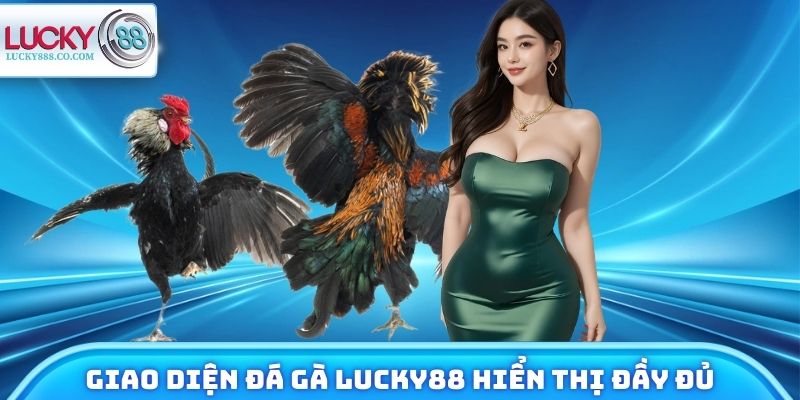 Đá Gà Lucky88 - Xem Chiến Kê Trực Tuyến, Đặt Cược 24/7 - SLOTVANTA69