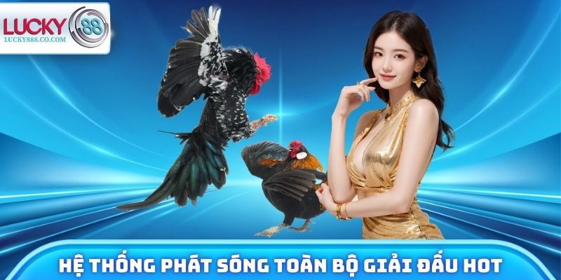 Đá Gà Lucky88 - Xem Chiến Kê Trực Tuyến, Đặt Cược 24/7 - SLOTVANTA69